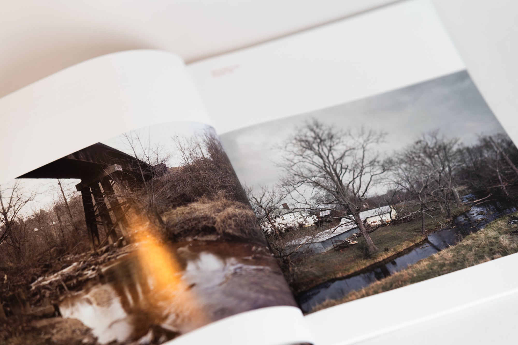 Pamplemousse | Issue 12