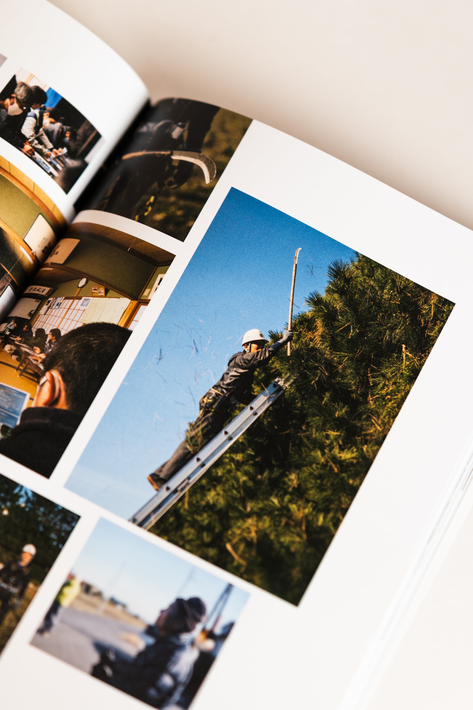 Niwaki Field Report | No. 2