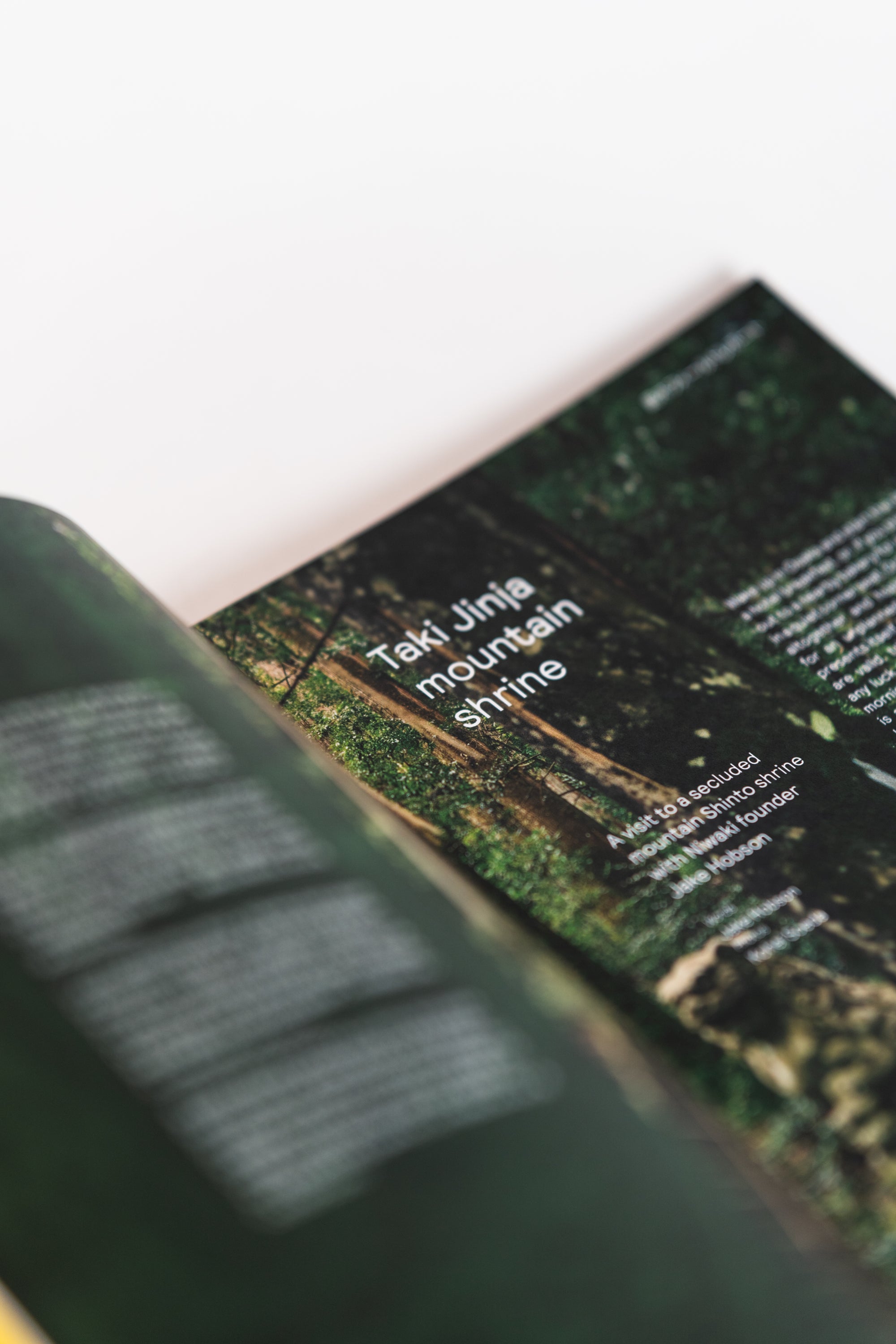 Niwaki Field Report | No. 2