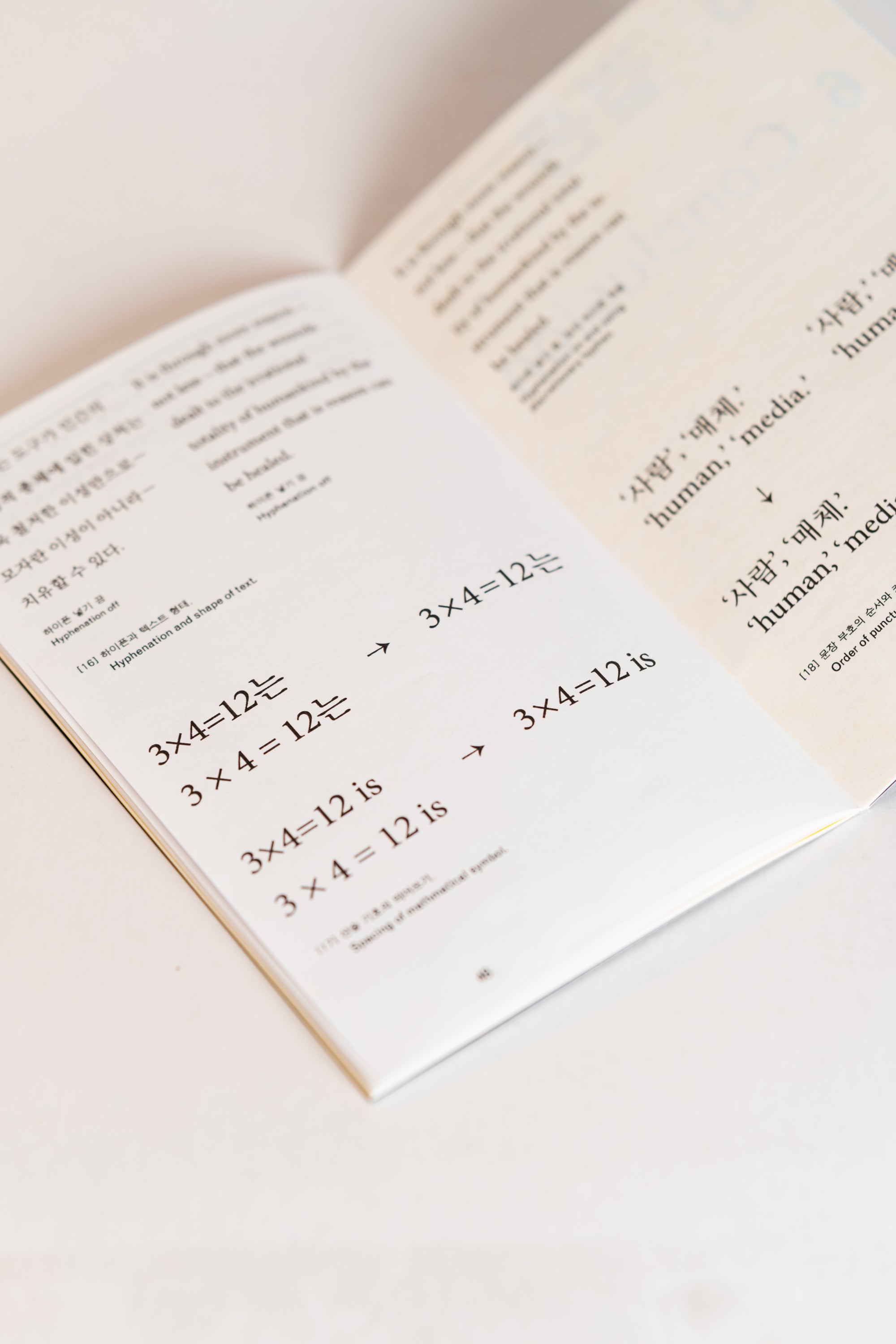 Technical Problems in Multilingual Typography Zine