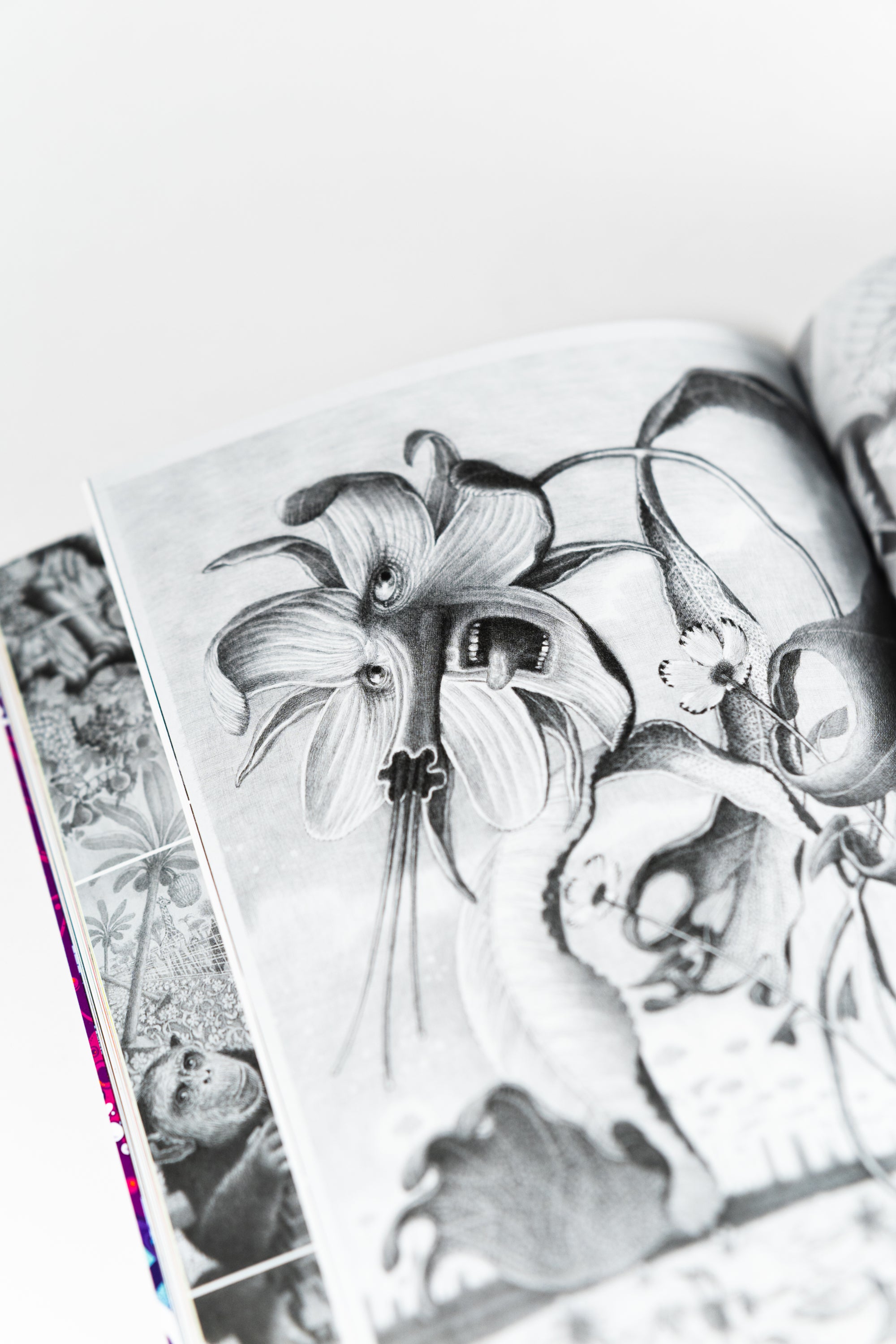 Hi-Fructose | Issue 78