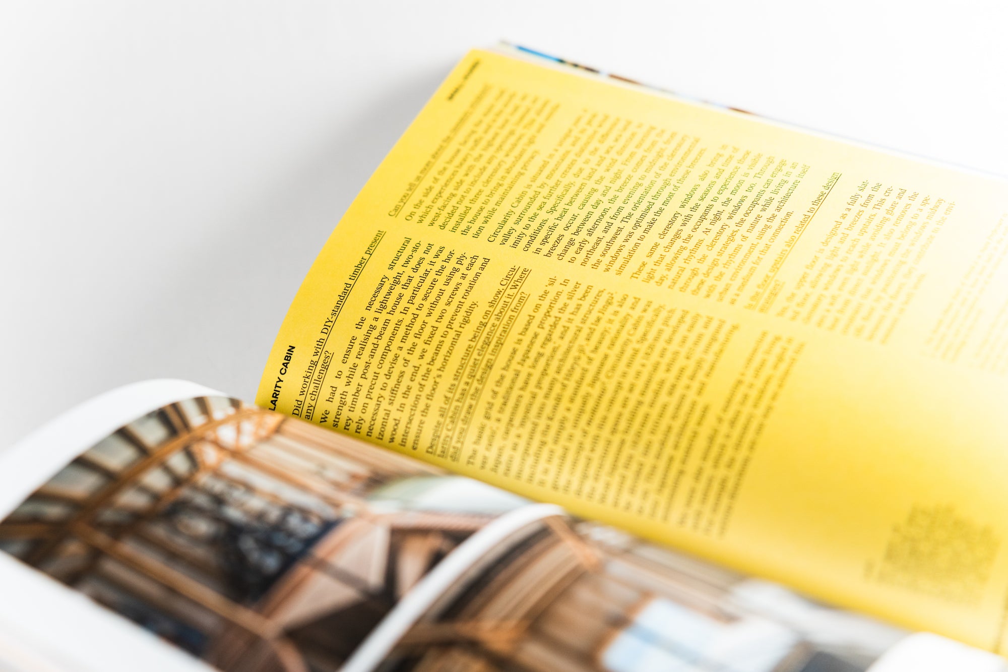 Never Too Small | Issue 07