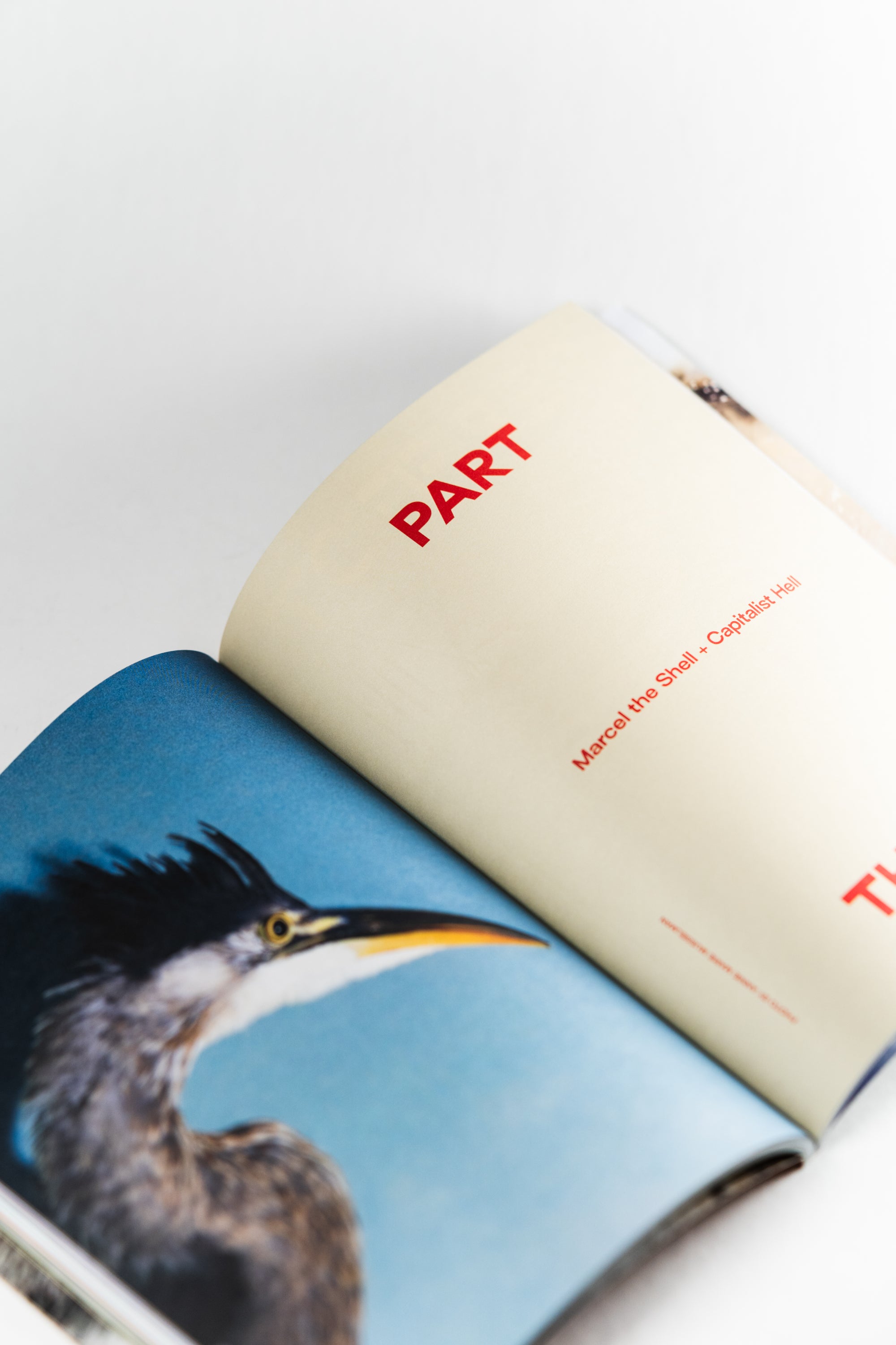 Mother Tongue | Issue 10