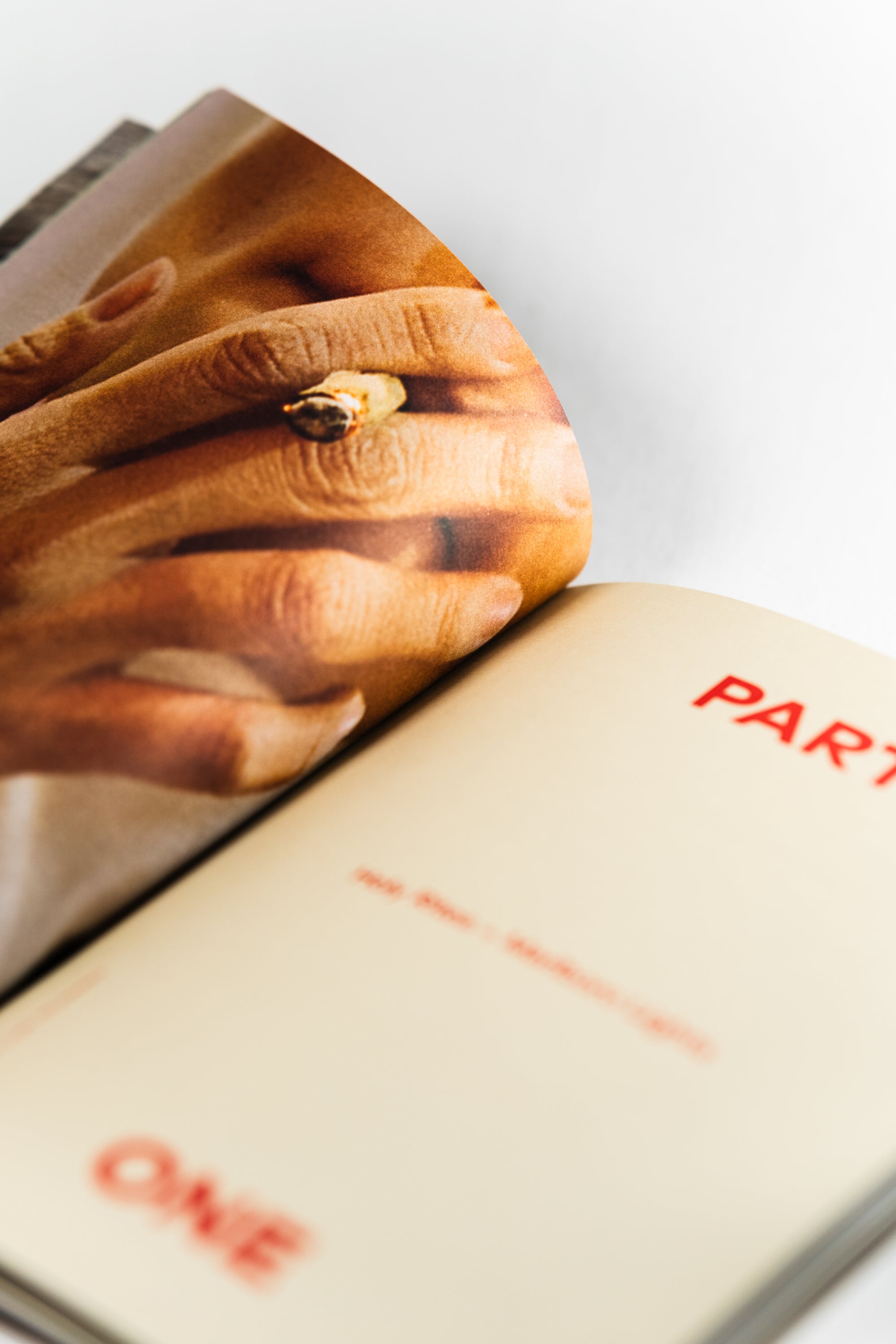 Mother Tongue | Issue 10