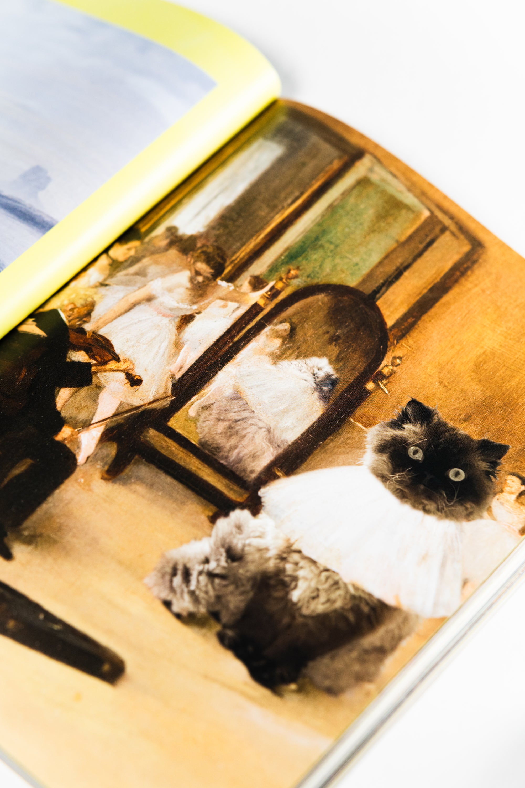 Catnip | Volume 2