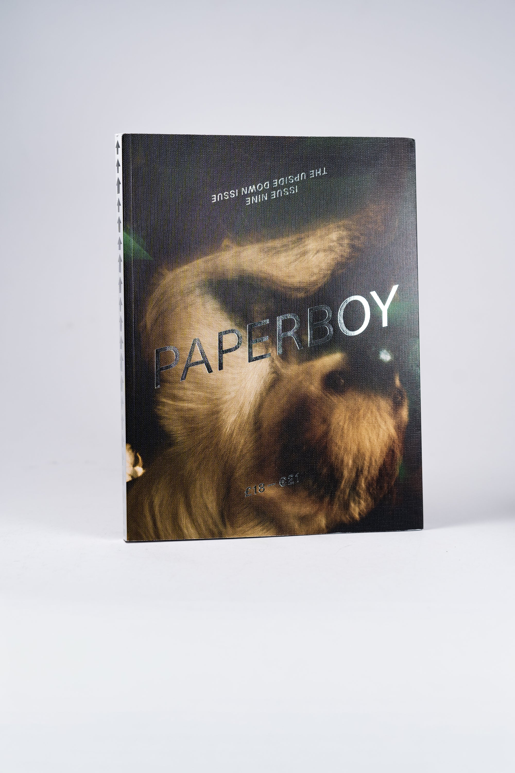 Paperboy | Issue 9