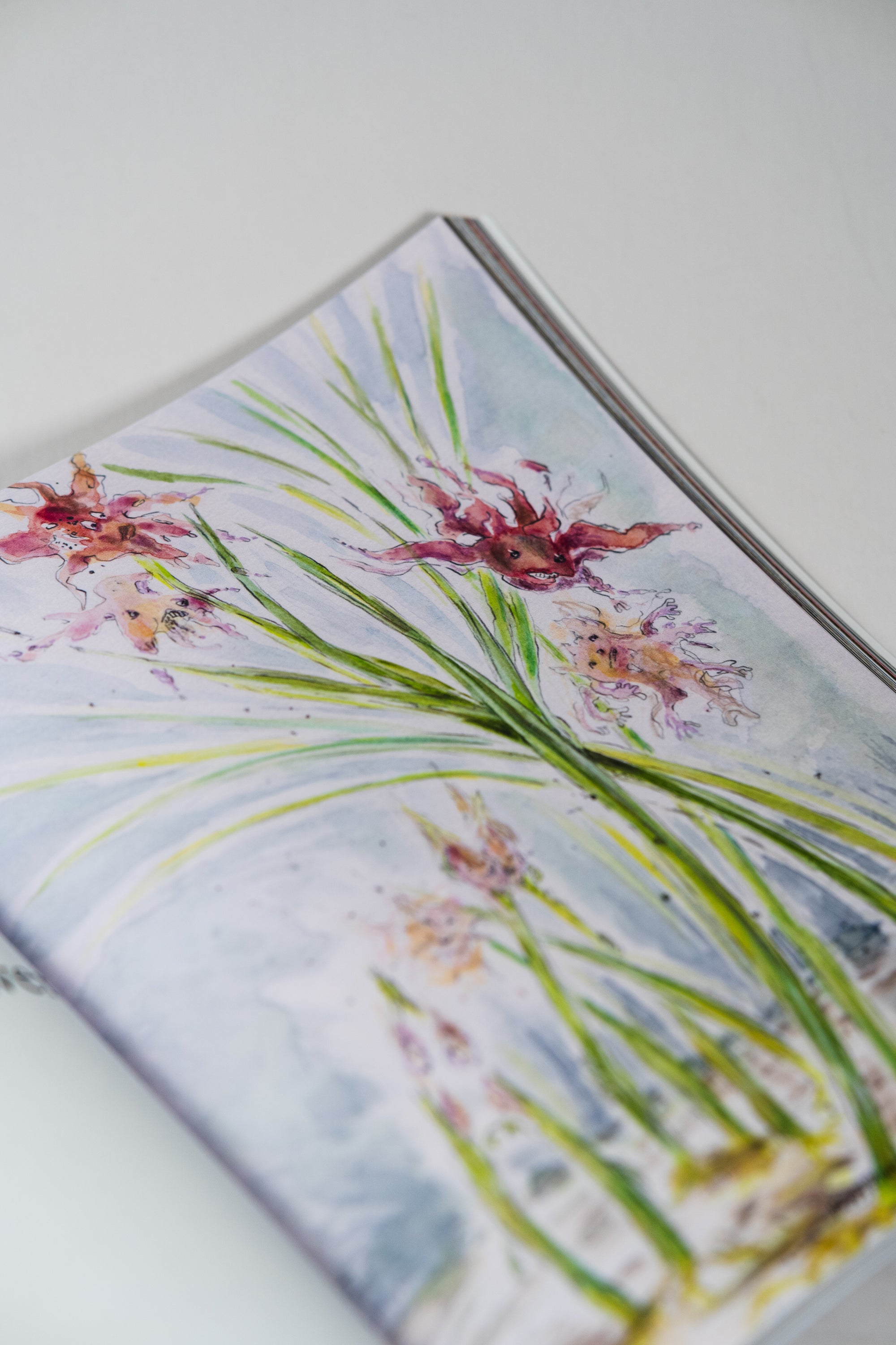The Plant | Issue 25