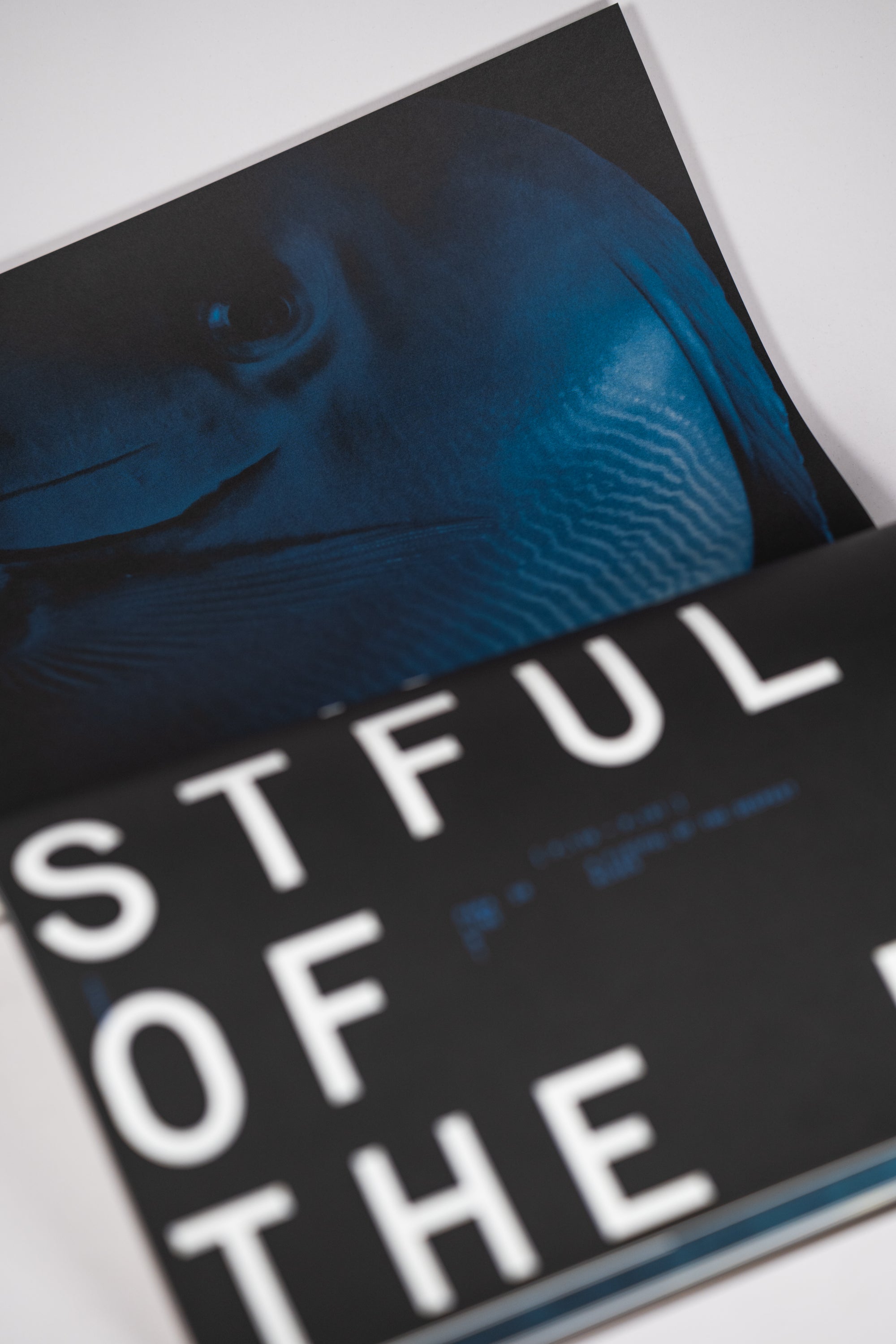 Footnote | No. 2
