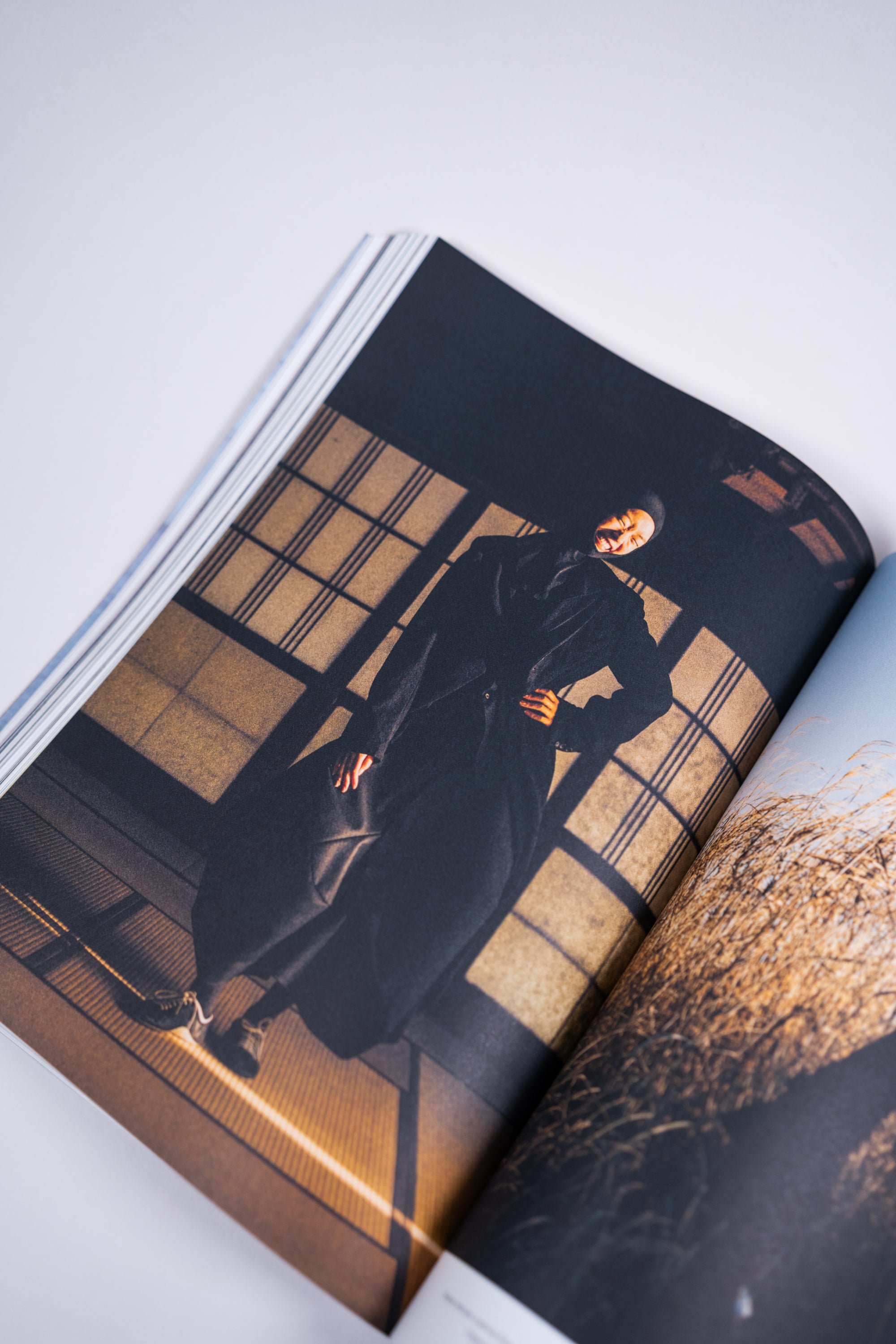 Luncheon | Issue 21