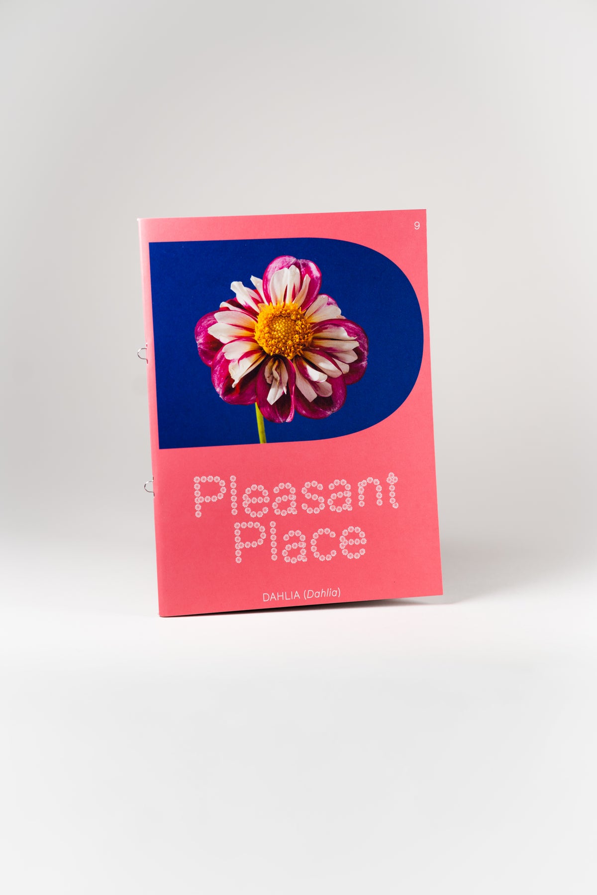 Pleasant Place | Issue 9 Dahlias