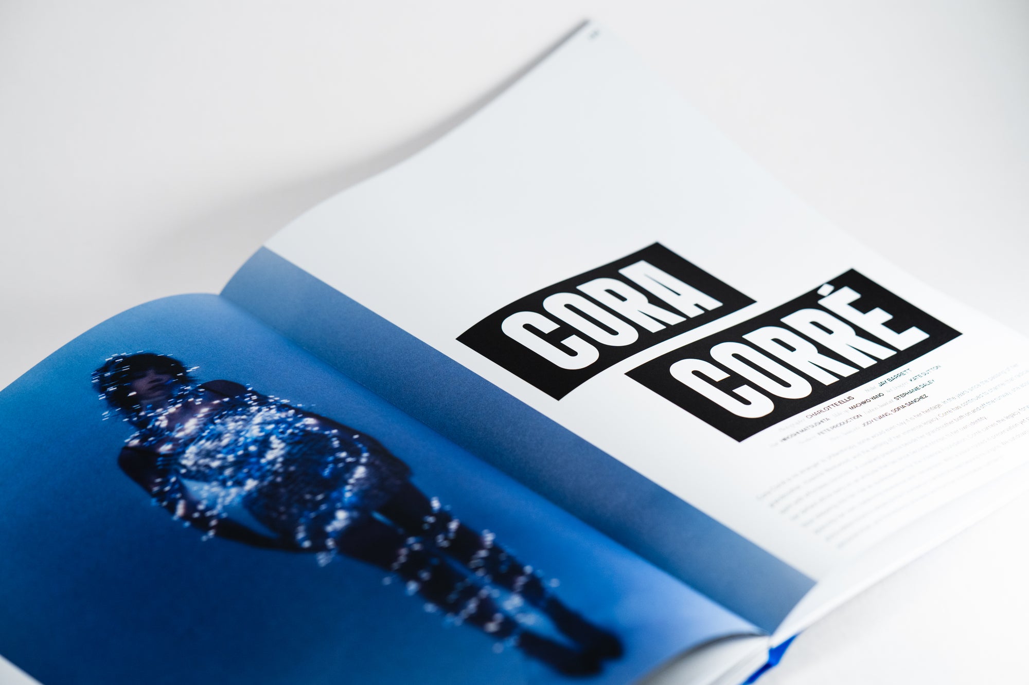 Domina Journal