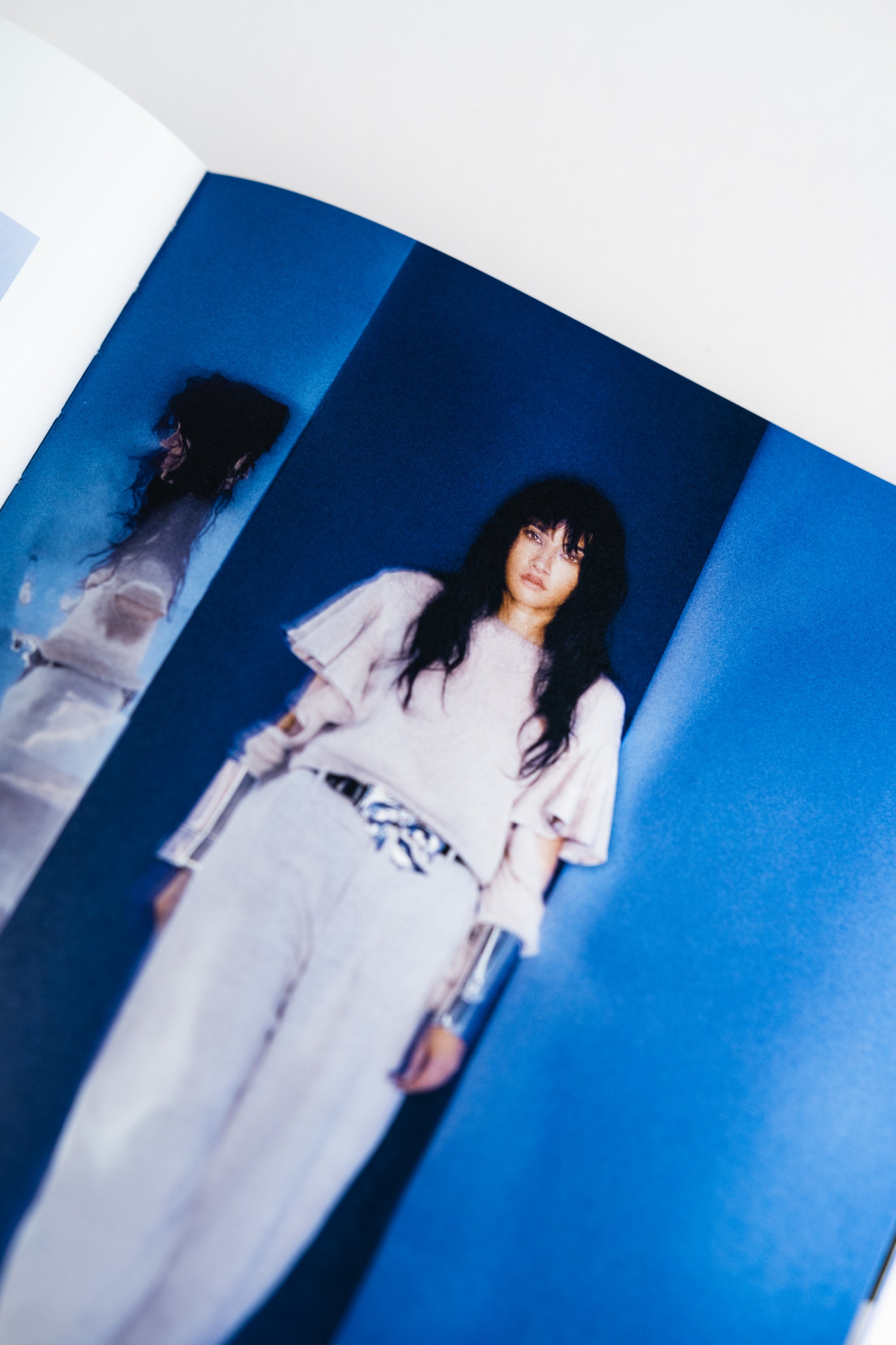 Domina Journal