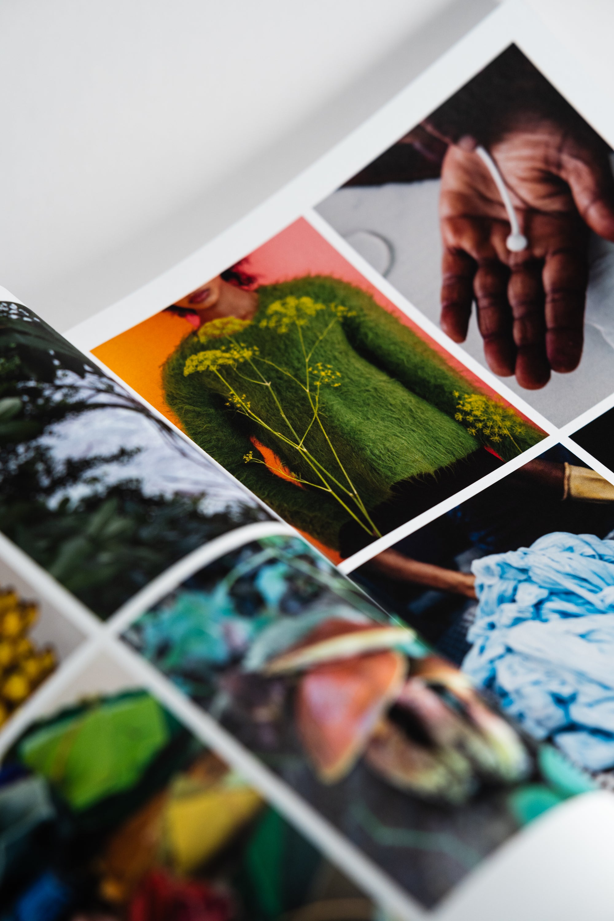 The Plant | Issue 24